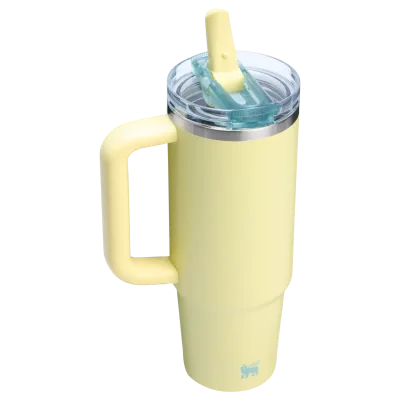 The Quencher ProTour Flip Straw Tumbler | 30 OZ - Stanley Create