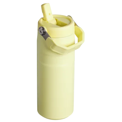 The IceFlow™ Bottle with Flip Straw Lid | 16 OZ