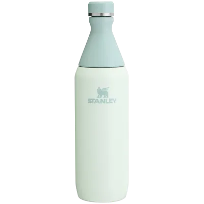 All Day Slim Bottle | 20 OZ