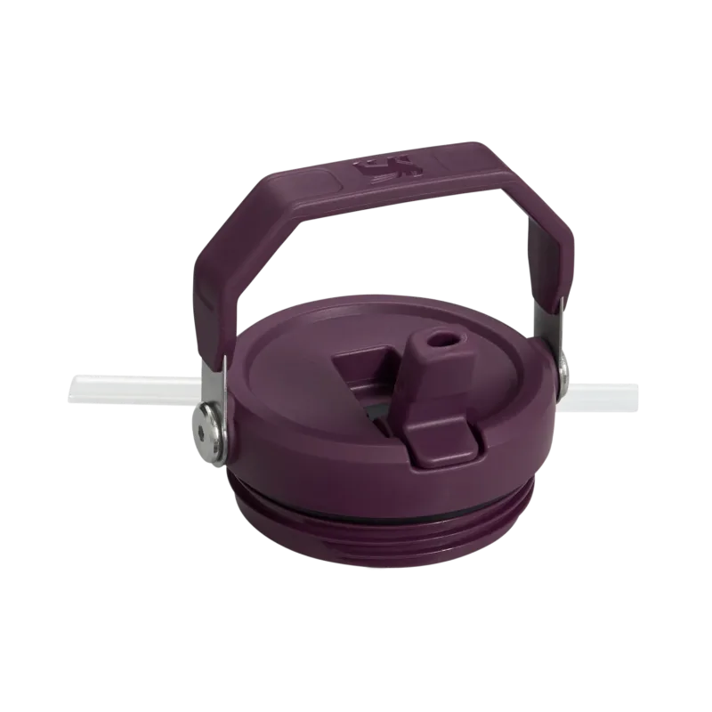 The IceFlow™ Flip Straw Tumbler | 20 OZ