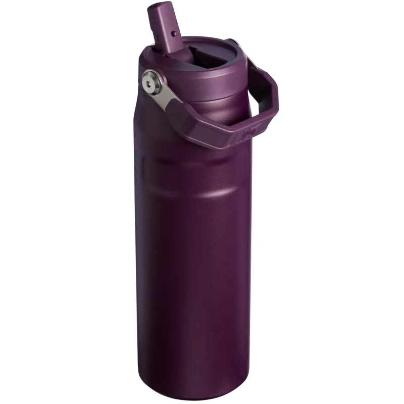 The IceFlow™ Bottle with Flip Straw Lid | 24 OZ