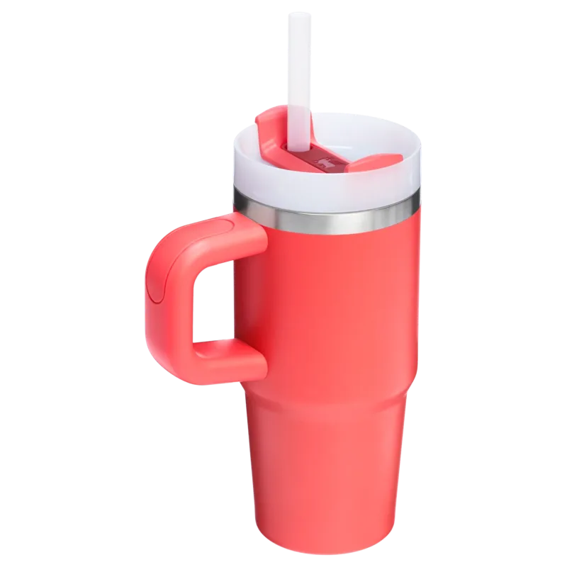 The Quencher H2.O FlowState™ 隨行杯 | 14 OZ