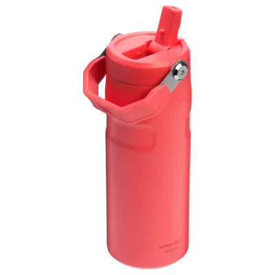 The IceFlow™ Bottle with Flip Straw Lid | 16 OZ