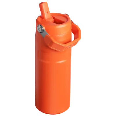 The IceFlow™ Bottle with Flip Straw Lid | 16 OZ