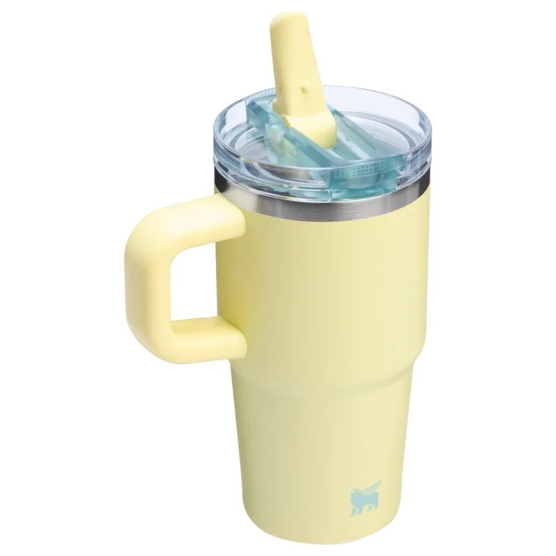 The Quencher ProTour Flip Straw Tumbler | 20 OZ - Stanley Create