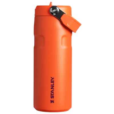 The IceFlow™ Bottle with Flip Straw Lid | 16 OZ