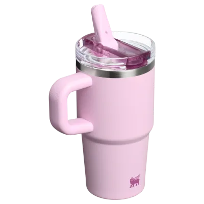 The Quencher ProTour Flip Straw Tumbler | 20 OZ - Stanley Create