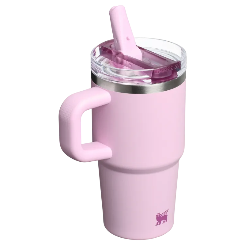 The Quencher ProTour Flip Straw Tumbler | 20 OZ - Stanley Create
