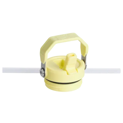 The IceFlow™ Bottle with Flip Straw Lid | 16 OZ