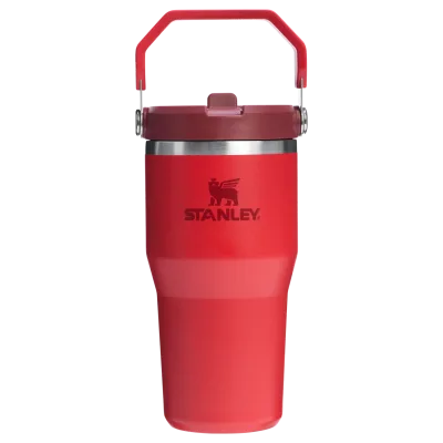 The IceFlow™ Flip Straw Tumbler | 20 OZ - Stanley Create