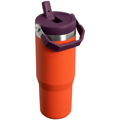 The IceFlow™ Flip Straw Tumbler | 30 OZ