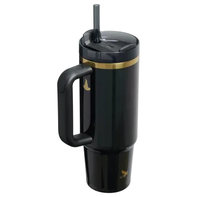 Le gobelet Quencher® H2.0 FlowState™ Wicked for Good | 30 OZ