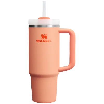 The Quencher H2.0 Flowstate™ Tumbler | 30 OZ - Stanley Create