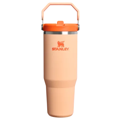 The IceFlow™ Flip Straw Tumbler | 30 OZ - Stanley Create