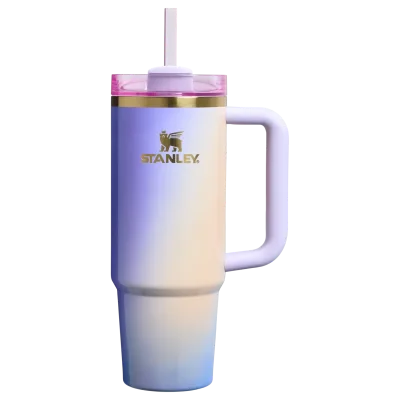 Le gobelet Quencher® H2.0 FlowState™ Wicked for Good | 30 OZ
