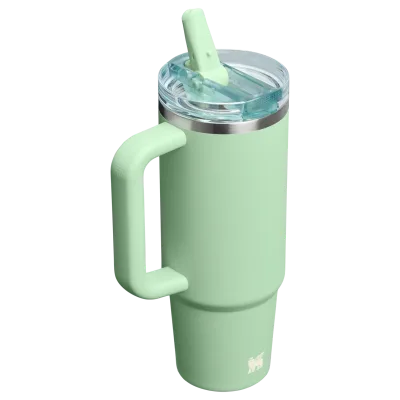 The Quencher ProTour Flip Straw Tumbler | 30 OZ - Stanley Create